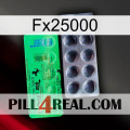 Fx25000 new04